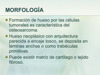 MORFOLOGÍA Formación de hueso por las células tumorales es característica del osteosarcoma. Hueso neoplásico con arquitectura parecida a encaje tosco, se deposita en láminas anchas o como trabéculas primitivas Puede existir matriz de cartílago o tejido fibroso. 