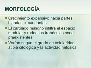 MORFOLOGÍA Crecimiento expansivo hacia partes blandas circundantes El cartílago maligno infiltra el espacio medular y rodea las trabéculas ósea preexistentes. Varían según el grado de celularidad, atipia citológica y la actividad mitósica 