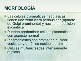 MORFOLOGÍA Las células plasmáticas neoplásicas tienen una zona clara perinuclear (aparato de Golgi prominente) y núcleo en posición excéntrica Pueden predominar células plasmáticas con aspecto normal Plasmablastos con cromatina nuclear vesicular y un único nucléolo prominente Células multinucleadas intensamente atípicas 