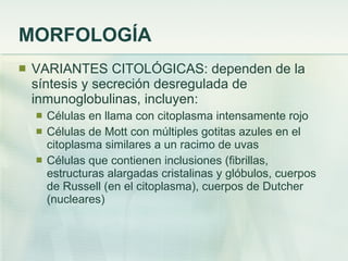 MORFOLOGÍA VARIANTES CITOLÓGICAS: dependen de la síntesis y secreción desregulada de inmunoglobulinas, incluyen: Células en llama con citoplasma intensamente rojo Células de Mott con múltiples gotitas azules en el citoplasma similares a un racimo de uvas Células que contienen inclusiones (fibrillas, estructuras alargadas cristalinas y glóbulos, cuerpos de Russell (en el citoplasma), cuerpos de Dutcher (nucleares) 
