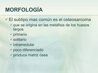 MORFOLOGÍA El subtipo mas común es el osteosarcoma que se origina en las metáfisis de los huesos largos primario solitario intramedular  poco diferenciado produce matriz ósea 