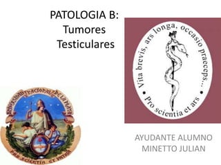 PATOLOGIA B:
Tumores
Testiculares
AYUDANTE ALUMNO
MINETTO JULIAN
 