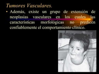 Tumores Vasculares.Además, existe un grupo de extensión de neoplasias vasculares en los cuales las características morfológicas no predicen confiablemente el comportamiento clínico.