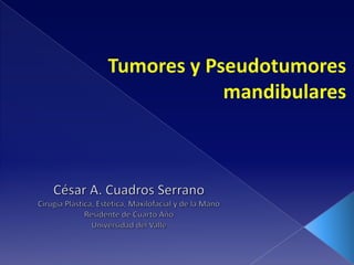 Tumores y pseudotumores mandibulares
