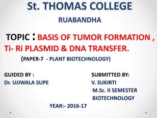 St. THOMAS COLLEGE
RUABANDHA
TOPIC :BASIS OF TUMOR FORMATION ,
Ti- Ri PLASMID & DNA TRANSFER.
(PAPER-7 - PLANT BIOTECHNOLOGY)
GUIDED BY : SUBMITTED BY:
Dr. UJJWALA SUPE V. SUKIRTI
M.Sc. II SEMESTER
BIOTECHNOLOGY
YEAR:- 2016-17
 
