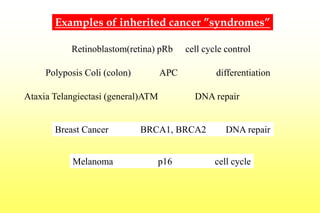 Tumor genetics.ppt