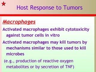 Host Response to Tumors
Macrophages
Activated macrophages exhibit cytotoxicity
against tumor cells in vitro
Activated macrophages may kill tumors by
mechanisms similar to those used to kill
microbes
(e.g., production of reactive oxygen
metabolites or by secretion of TNF)
 
