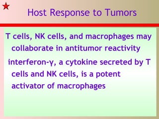Host Response to Tumors
T cells, NK cells, and macrophages may
collaborate in antitumor reactivity
interferon-γ, a cytokine secreted by T
cells and NK cells, is a potent
activator of macrophages
 