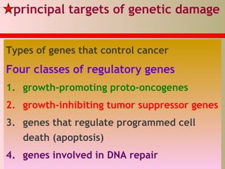 Types of genes that control cancer
Four classes of regulatory genes
1. growth-promoting proto-oncogenes
2. growth-inhibiting tumor suppressor genes
3. genes that regulate programmed cell
death (apoptosis)
4. genes involved in DNA repair
principal targets of genetic damage
 