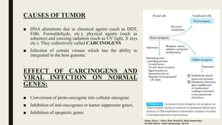 CAUSES OF TUMOR
■ DNA alterations due to chemical agents (such as DDT,
EtBr, Formaldehyde, etc.), physical agents (such as
asbestos) and ionizing radiation (such as UV light, X rays
etc.). They collectively called CARCINOGENS
■ Infection of certain viruses which has the ability to
integrated in the host genome.
EFFECT OF CARCINOGENS AND
VIRAL INFECTION ON NORMAL
GENES:
■ Conversion of proto-oncogene into cellular oncogene
■ Inhibition of anti-oncogenes or tumor suppressor genes.
■ Inhibition of apoptotic genes
Image. Source – Owen, Punt, Stranford: Kuby Immunology:
Seventh Edition: Tumor Immunology: Pg:630
 