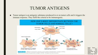 TUMOR ANTIGENS
■ Tumor antigen is an antigenic substance produced in or on tumor cells and it triggers the
immune response. They fulfil the criteria to be immunogenic.
HOW ONE’S BODY DIFFERNTIATE BETWEEN THE
TUMOR CELLS AND NORMAL CELLS ?
Image. Source –
Owen, Punt,
Stranford: Kuby
Immunology: Seventh
Edition: Tumor
Immunology: Pg:636
 