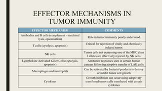 EFFECTOR MECHANISMS IN
TUMOR IMMUNITY
EFFECTOR MECHANISM COMMENTS
Antibodies and B cells (complement – mediated
lysis, opsonisation)
Role in tumor immunity poorly understood.
T cells (cytolysis, apoptosis)
Critical for rejection of virally and chemically
induced tumor.
NK cells
Tumor cells not expressing one of the MHC class
1 alleles are effectively rejected by NK cells.
Lymphokine Activated Killer Cells (cytolysis,
apoptosis)
Antitumor responses seen in certain human
cancers following adoptive transfer of LAK cells
Macrophages and neutrophils
Can be activated by bacterial products to destroy
or inhibit tumor cell growth
Cytokines
Growth inhibition can occur using adoptively
transferred tumor cells transfected with certain
cytokines
 