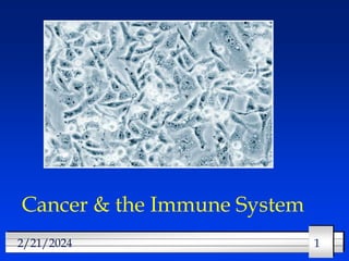 1
1
2/21/2024
Cancer & the Immune System
 