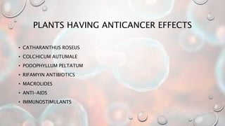 PLANTS HAVING ANTICANCER EFFECTS
• CATHARANTHUS ROSEUS
• COLCHICUM AUTUMALE
• PODOPHYLLUM PELTATUM
• RIFAMYIN ANTIBIOTICS
• MACROLIDES
• ANTI-AIDS
• IMMUNOSTIMULANTS
 