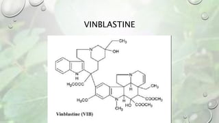 VINBLASTINE
 