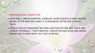 • MORPHOLOGICAL CHARACTERS:
SEEDS ARE 2-3MM IN DIAMETER, GLOBULAR. OUTER SURFACE IS DARK REDDISH
BROWN, PITTED AND VERY HARD. IT IS ODOURLESS, BITTER AND ACRID IN
TASTE.
CROM IS SOLD IN TRANSVERSE SECTIONS, NOTCHED ON ONE SIDE, WHITE AND
STARCHY INTERNALLY. TASTE SWEETISH, THEN BITTER AND ACRID AND ODOUR
RADISH-LIKE IN FRESH ROOT, BUT LOST IN DRYING.
 