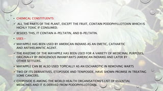 • CHEMICAL CONSTITUENTS:
 ALL THE PARTS OF THE PLANT, EXCEPT THE FRUIT, CONTAIN PODOPHYLLOTOXIN WHICH IS
HIGHLY TOXIC IF CONSUMED.
 BESIDES THIS, IT CONTAIN Α-PELTATIN, AND Β-PELTATIN.
• USES:-
 MAYAPPLE HAS BEEN USED BY AMERICAN INDIANS AS AN EMETIC, CATHARTIC
AND ANTIHELMINTIC AGENT.
 THE RHIZOME OF THE MAYAPPLE HAS BEEN USED FOR A VARIETY OF MEDICINAL PURPOSES,
ORIGINALLY BY INDIGENOUS INHABITANTS (AMERICAN INDIANS) AND LATER BY
OTHER SETTLERS.
 MAYAPPLE CAN BE ALSO USED TOPICALLY AS AN ESCHAROTIC IN REMOVING WARTS
 TWO OF ITS DERIVATIVES, ETOPOSIDE AND TENIPOSIDE, HAVE SHOWN PROMISE IN TREATING
SOME CANCERS.
 ETOPOSIDE IS AMONG THE WORLD HEALTH ORGANISATIONS'S LIST OF ESSENTIAL
MEDICINES AND IT IS DERIVED FROM PODOPHYLLOTOXIN.
 