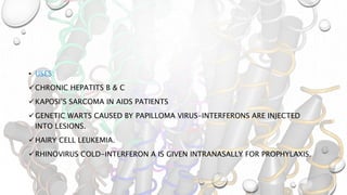 • USES:
CHRONIC HEPATITS B & C
KAPOSI’S SARCOMA IN AIDS PATIENTS
GENETIC WARTS CAUSED BY PAPILLOMA VIRUS-INTERFERONS ARE INJECTED
INTO LESIONS.
HAIRY CELL LEUKEMIA.
RHINOVIRUS COLD-INTERFERON Α IS GIVEN INTRANASALLY FOR PROPHYLAXIS.
 
