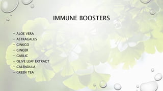 IMMUNE BOOSTERS
• ALOE VERA
• ASTRAGALUS
• GINKGO
• GINGER
• GARLIC
• OLIVE LEAF EXTRACT
• CALENDULA
• GREEN TEA
 