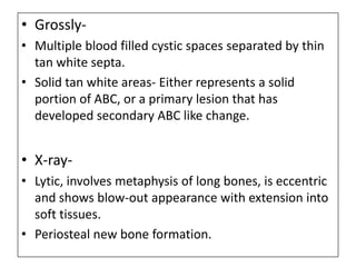 • Grossly-
• Multiple blood filled cystic spaces separated by thin
tan white septa.
• Solid tan white areas- Either represents a solid
portion of ABC, or a primary lesion that has
developed secondary ABC like change.
• X-ray-
• Lytic, involves metaphysis of long bones, is eccentric
and shows blow-out appearance with extension into
soft tissues.
• Periosteal new bone formation.
 
