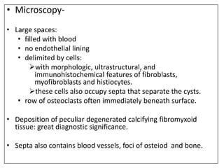 • Microscopy-
• Large spaces:
• filled with blood
• no endothelial lining
• delimited by cells:
with morphologic, ultrastructural, and
immunohistochemical features of fibroblasts,
myofibroblasts and histiocytes.
these cells also occupy septa that separate the cysts.
• row of osteoclasts often immediately beneath surface.
• Deposition of peculiar degenerated calcifying fibromyxoid
tissue: great diagnostic significance.
• Septa also contains blood vessels, foci of osteiod and bone.
 