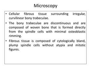 Microscopy
• Cellular fibrous tissue surrounding irregular,
curvilinear bony trabeculae.
• The bony trabeculae are discontinuous and are
composed of woven bone that is formed directly
from the spindle cells with minimal osteoblastic
rimming.
• Fibrous tissue is composed of cytologically bland,
plump spindle cells without atypia and mitotic
figures.
 