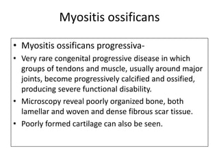 Myositis ossificans
• Myositis ossificans progressiva-
• Very rare congenital progressive disease in which
groups of tendons and muscle, usually around major
joints, become progressively calcified and ossified,
producing severe functional disability.
• Microscopy reveal poorly organized bone, both
lamellar and woven and dense fibrous scar tissue.
• Poorly formed cartilage can also be seen.
 