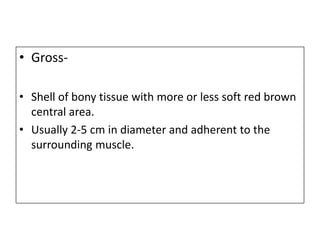 • Gross-
• Shell of bony tissue with more or less soft red brown
central area.
• Usually 2-5 cm in diameter and adherent to the
surrounding muscle.
 