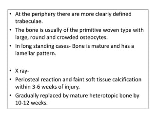 • At the periphery there are more clearly defined
trabeculae.
• The bone is usually of the primitive woven type with
large, round and crowded osteocytes.
• In long standing cases- Bone is mature and has a
lamellar pattern.
• X ray-
• Periosteal reaction and faint soft tissue calcification
within 3-6 weeks of injury.
• Gradually replaced by mature heterotopic bone by
10-12 weeks.
 