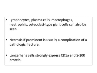 • Lymphocytes, plasma cells, macrophages,
neutrophils, osteoclast-type giant cells can also be
seen.
• Necrosis if prominent is usually a complication of a
pathologic fracture.
• Langerhans cells strongly express CD1a and S-100
protein.
 