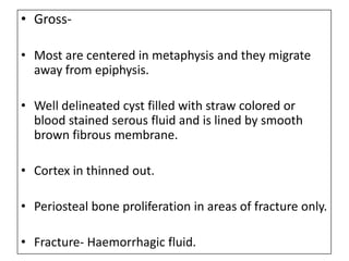 • Gross-
• Most are centered in metaphysis and they migrate
away from epiphysis.
• Well delineated cyst filled with straw colored or
blood stained serous fluid and is lined by smooth
brown fibrous membrane.
• Cortex in thinned out.
• Periosteal bone proliferation in areas of fracture only.
• Fracture- Haemorrhagic fluid.
 