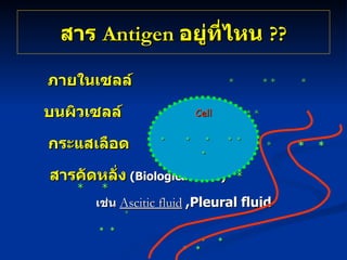 สาร   Antigen  อยู่ที่ไหน  ??       ภายในเซลล์ *   * *  *   บนผิวเซลล์   *   * *    กระแสเลือด   *     *   *   *   สารคัดหลั่ง   ( Biological fluid )  *   *  * เช่น  Ascitic fluid   ,Pleural fluid *     *   *     *   *     *  * Cell *  *  *  *  *  * 