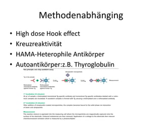 Methodenabhänging
• High dose Hook effect
• Kreuzreaktivität
• HAMA-Heterophile Antikörper
• Autoantikörper:z.B. Thyroglobulin
 