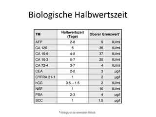 Biologische Halbwertszeit
 