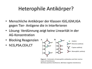 Heterophile Antikörper?
• Menschliche Antikörper der Klassen IGG,IGM,IGA
gegen Tier- Antigene die in Interferieren
• Lösung: Verdünnung zeigt keine Linearität in der
AG-Konzentration
• Blocking Reagenzien
• hCG,PSA,CEA,CT
 