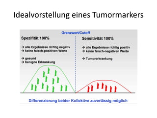 Idealvorstellung eines Tumormarkers
 