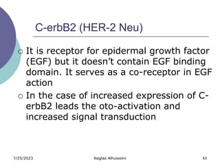 7/25/2023 Naglaa Alhusseini 43
C-erbB2 (HER-2 Neu)
 It is receptor for epidermal growth factor
(EGF) but it doesn’t contain EGF binding
domain. It serves as a co-receptor in EGF
action
 In the case of increased expression of C-
erbB2 leads the oto-activation and
increased signal transduction
 
