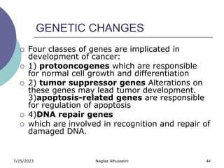 7/25/2023 Naglaa Alhusseini 44
GENETIC CHANGES
 Four classes of genes are implicated in
development of cancer:
 1) protooncogenes which are responsible
for normal cell growth and differentiation
 2) tumor suppressor genes Alterations on
these genes may lead tumor development.
3)apoptosis-related genes are responsible
for regulation of apoptosis
 4)DNA repair genes
 which are involved in recognition and repair of
damaged DNA.
 
