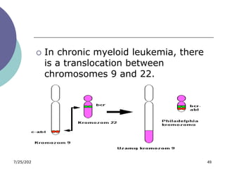 7/25/2023 Naglaa Alhusseini 49
 In chronic myeloid leukemia, there
is a translocation between
chromosomes 9 and 22.
 