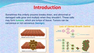 BIOCHEMICAL ASPECTS OF CANCER AND TUMOR MARKERS | PPTX