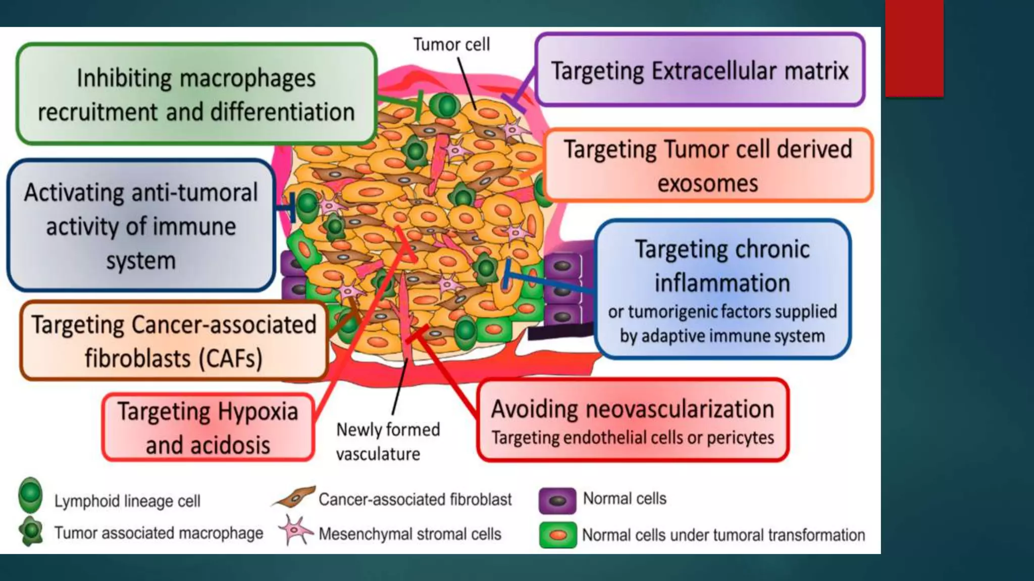 Tumor microenvironment in the body | PPTX