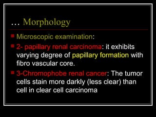 Tumor of kidney and urinary tract | PPT