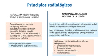Principios radiológicos
NATURALEZA Y EXTENSIÓN DEL
TEJIDO BLANDO INVOLUCRADO
NATURALEZA SOLITARIA O
MÚLTIPLE DE LA LESIÓN
En los procesos malignos
• Masa tumoral es bien definida.
• Generalmente los tumores
benignos y lesiones
pseudotumorales no exhiben
extensión de tejido blando,
• Osteomielitis pueden afectar tejido
blando pero la masa es usualmente
pobremente definida
Las lesiones múltiples usualmente indican enfermedad
metástasica (mieloma múltiple o linfoma) .
Muy pocas veces debido a una lesión primaria maligna
como osteosarcoma o sarcoma de Ewing presentan
enfermedad multifocal.
Las lesiones benignas tienden a afectar
múltiples sitio
• Osteocondromas múltiples,
• Endocromatosis
• Granulomas esoinofilico
• Hemangiomas
 
