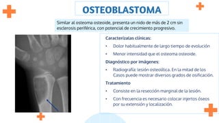 OSTEOBLASTOMA
Caracterízalas clínicas:
• Dolor habitualmente de largo tiempo de evolución
• Menor intensidad que el osteoma osteoide.
Diagnóstico por imágenes:
• Radiografía: lesión osteolítica. En la mitad de los
Casos puede mostrar diversos grados de osificación.
Tratamiento
• Consiste en la resección marginal de la lesión.
• Con frecuencia es necesario colocar injertos óseos
por su extensión y localización.
Similar al osteoma osteoide, presenta un nido de más de 2 cm sin
esclerosis periférica, con potencial de crecimiento progresivo.
 