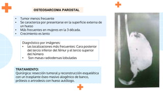 OSTEOSARCOMA PAROSTAL
Diagnóstico por imágenes:
• las localizaciones más frecuentes: Cara posterior
del tercio inferior del fémur y el tercio superior
del húmero
• Son masas radiodensas lobuladas
TRATAMIENTO:
Quirúrgica: resección tumoral y reconstrucción esquelética
con un trasplante óseo masivo alogénico de banco,
prótesis o artrodesis con hueso autólogo.
• Tumor menos frecuente
• Se caracteriza por presentarse en la superficie externa de
un hueso
• Más frecuentes en mujeres en la 3 década.
• Crecimiento es lento
 