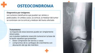 OSTEOCONDROMA
Diagnostico por imágenes:
son tumores metafisarios que pueden ser sésiles o
pediculados. En ambos casos, la cortical, la medular del tumor
se continúan con la cortical y medular del hueso afectado
Tratamiento:
la mayoría de estas lesiones puede ser simplemente
observadas.
son tratadas mediante resección tumoral en la base de
la lesión aquellas que presentan
• Dolor compresión de nervios o vasos
• compromiso de lo cartílagos de crecimiento con
desviación del eje del miembro
 