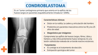 CONDROBLASTOMA
Características clínicas:
● Dolor en la rodilla, la cadera y articulación del hombro
● Predomina en pacientes masculinos entre los 10 y los 25
años de edad.
● Diagnóstico por imágenes:
Compromete las epífisis de huesos largos, fémur, tibia y
húmero y más infrecuentemente hueso temporal. Es una
lesión radiolúcida rodeada de un borde reactivo escleroso.
Tratamiento:
● El curetaje es el tratamiento de elección.
● Extirpación quirúrgica del tumor
Es un "tumor cartilaginoso primario que asienta en la epífisis de los
huesos largos en pacientes esqueléticamente inmaduros" (OMS).
 