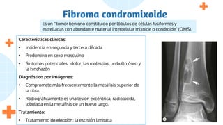 Fibroma condromixoide
Es un "'tumor benigno constituido por lóbulos de células fusiformes y
estrelladas con abundante material intercelular mixoide o condroide" (OMS).
Características clínicas:
• Incidencia en segunda y tercera década
• Predomina en sexo masculino
• Síntomas potenciales: dolor, las molestias, un bulto óseo y
la hinchazón
Diagnóstico por imágenes:
• Compromete más frecuentemente la metáfisis superior de
la tibia.
• Radiográficamente es una lesión excéntrica, radiolúcida,
lobulada en la metáfisis de un hueso largo.
Tratamiento:
• Tratamiento de elección: la escisión limitada
 