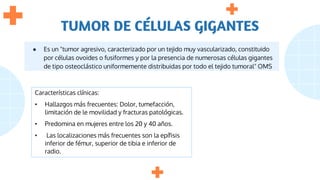 TUMOR DE CÉLULAS GIGANTES
● Es un "tumor agresivo, caracterizado por un tejido muy vascularizado, constituido
por células ovoides o fusiformes y por la presencia de numerosas células gigantes
de tipo osteoclástico uniformemente distribuidas por todo el tejido tumoral" OMS
Características clínicas:
• Hallazgos más frecuentes: Dolor, tumefacción,
limitación de le movilidad y fracturas patológicas.
• Predomina en mujeres entre los 20 y 40 años.
• Las localizaciones más frecuentes son la epífisis
inferior de fémur, superior de tibia e inferior de
radio.
 