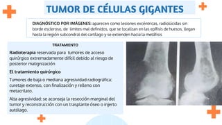 TUMOR DE CÉLULAS GIGANTES
DIAGNÓSTICO POR IMÁGENES: aparecen como lesiones excéntricas, radiolúcidas sin
borde escleroso, de limites mal definidos, que se localizan en las epífisis de huesos, llegan
hasta la región subcondral del cartílago y se extienden hacia la metáfisis
TRATAMIENTO
Radioterapia reservada para tumores de acceso
quirúrgico extremadamente difícil debido al riesgo de
posterior malignización
El tratamiento quirúrgico
Tumores de baja o mediana agresividad radiográfica:
curetaje extenso, con finalización y relleno con
metacrilato.
Alta agresividad: se aconseja la resección marginal del
tumor y reconstrucción con un trasplante óseo o injerto
autólago.
 